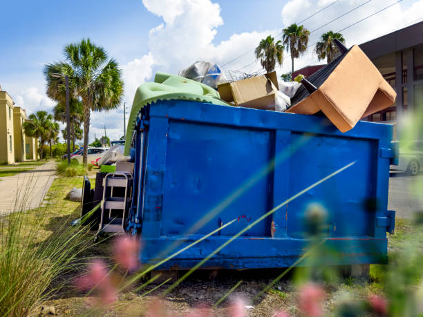 Best Residential Junk Removal  in Palmview South, TX